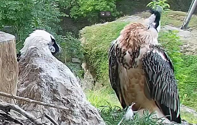 Dehnübungen 14.08.25