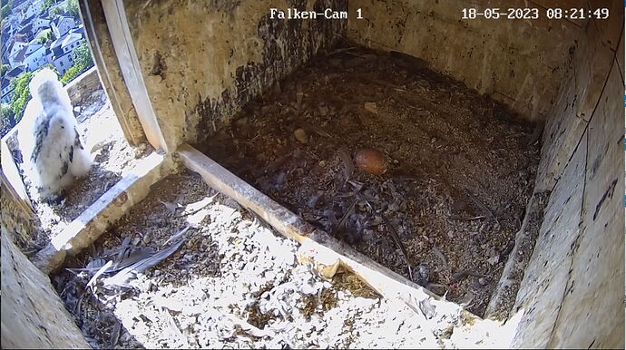 Snap_2023.05.18_08h22m15s_007_