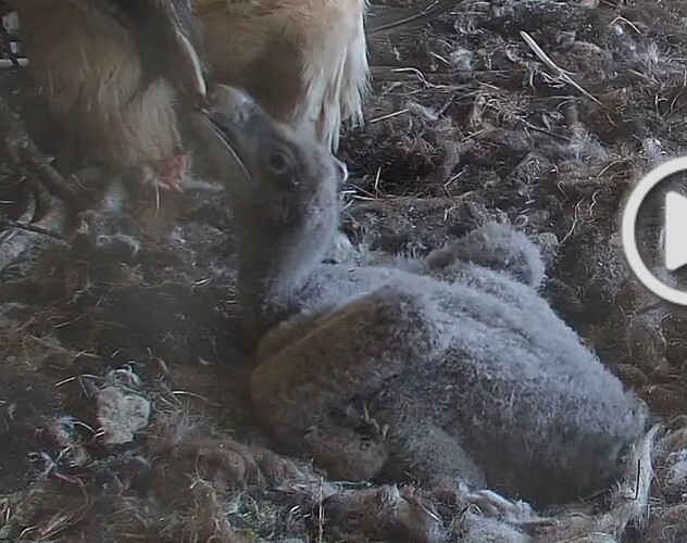 Essenszeit 1 25.03.24