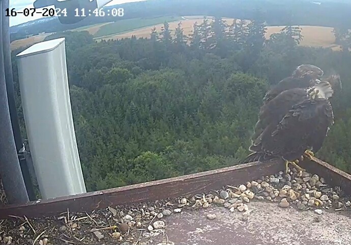 Screenshot_20240716_124444_Samsung Internet