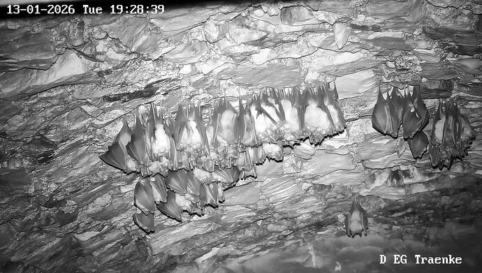 2026-01-13_10 ab 19.00 Beginn Cluster