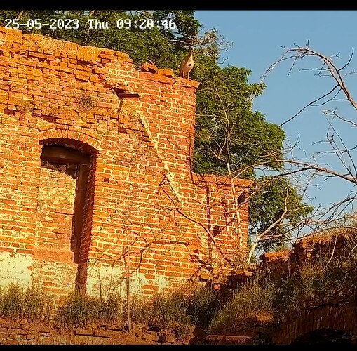 Screenshot_20230525_092108_Samsung Internet