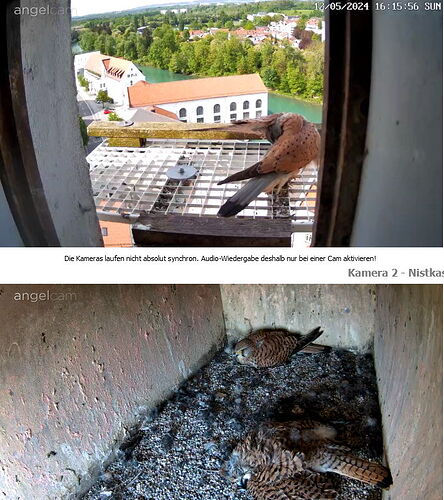 Snap_2024.05.12_16h16m25s_011_