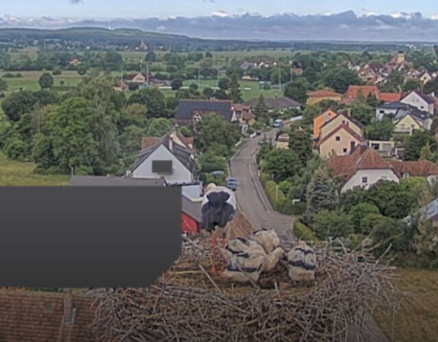 Snap_2024.05.28_07h58m36s_009_