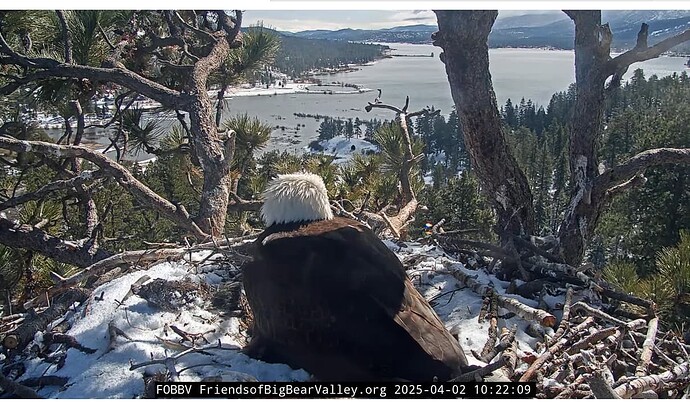 Screenshot 2025-04-02 192409