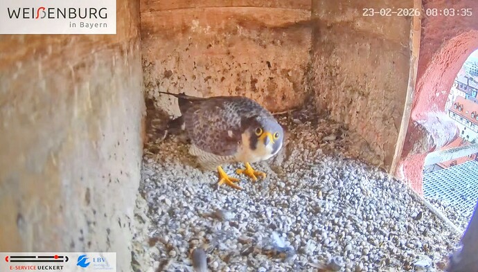 Screenshot_2026-02-23-08-14-30-751_com.google.android.youtube~2