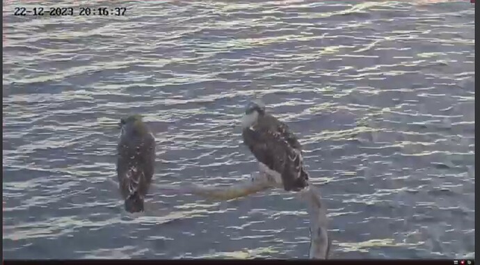 Screenshot_20231222_225516_YouTube