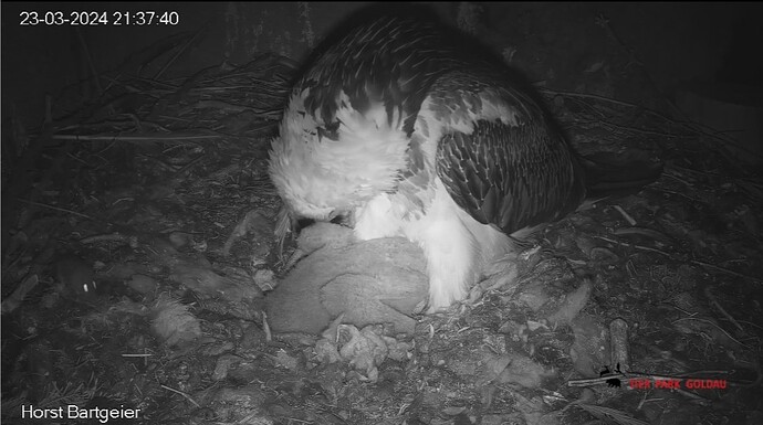 Screenshot_20240323_213753_Chrome