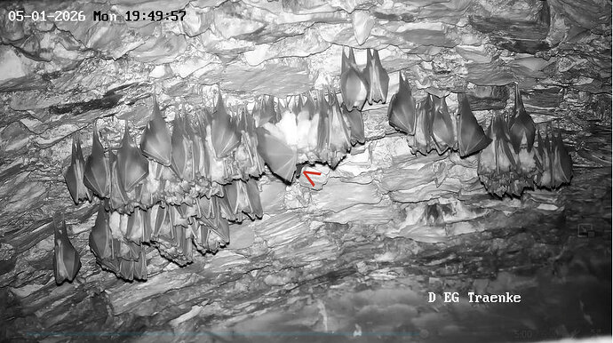 2026-01-05_2 2.Hufi fliegt ab