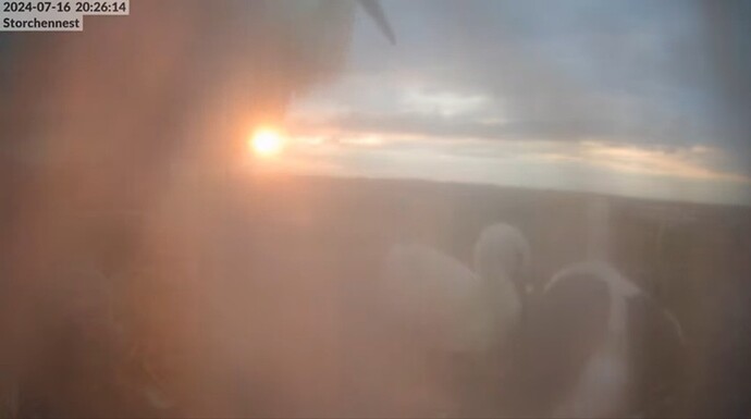 Screenshot_20240716_202644_YouTube