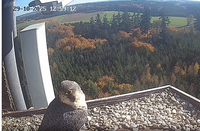 Screenshot 2025-10-29 120025