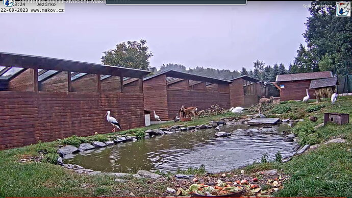 Snap_2023.09.22_18h44m01s_007_