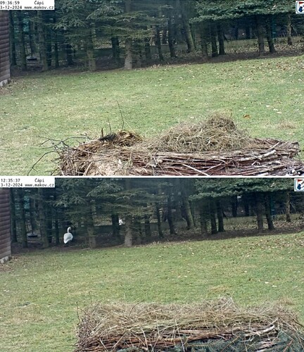 IMG_20241213_123819