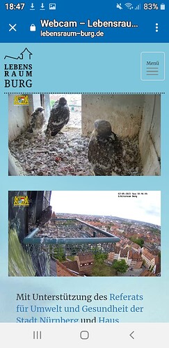 Screenshot_20230507-184710_Chrome