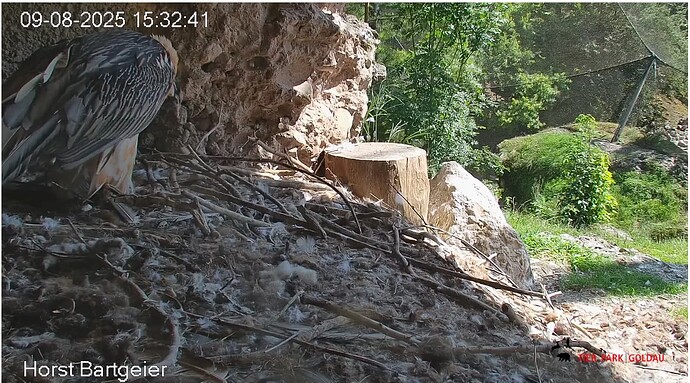 Screenshot_20250809-153347~2