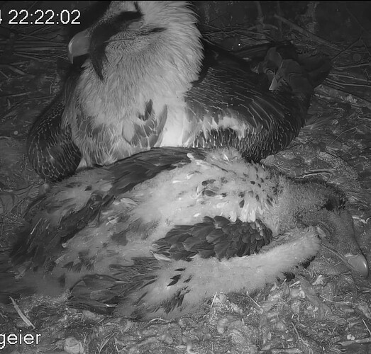 Screenshot_20240424_222323_Samsung Internet