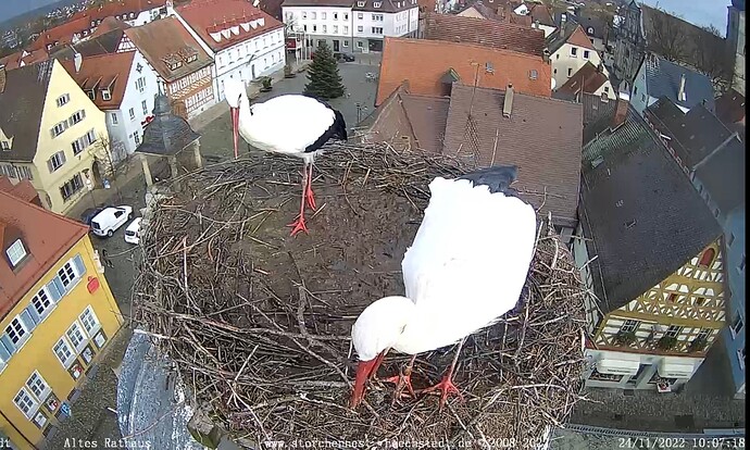 Bild