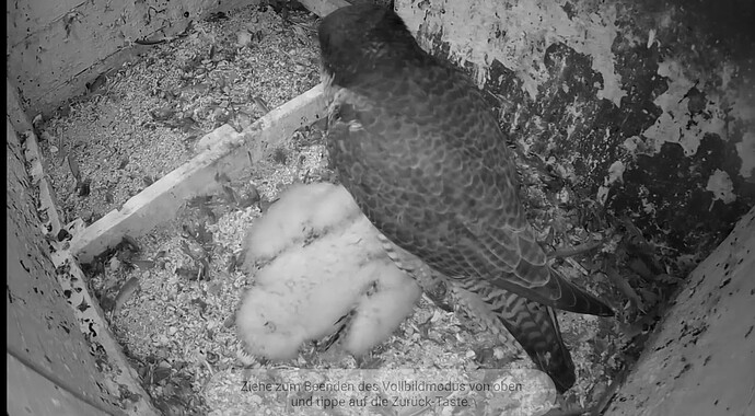 Screenshot_20230512-220330~2