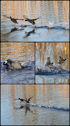 20260328_143720-COLLAGE