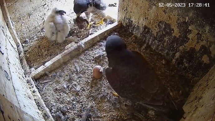 2023-05-12 17_29_14-Clipboard