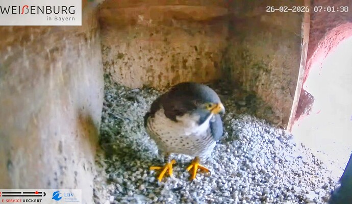 Screenshot_2026-02-26-07-01-46-839_com.google.android.youtube~2