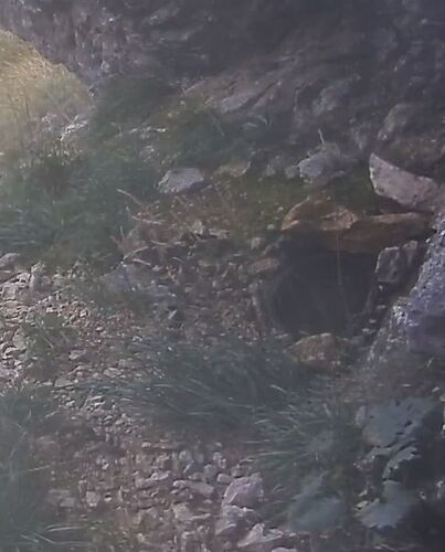 Snap_2023.10.17_15h34m51s_006_