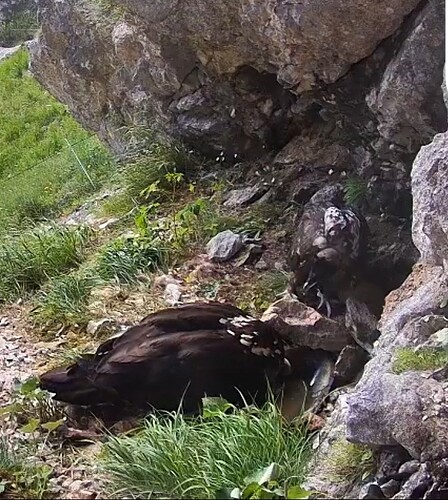 Screenshot_20250615-084704_Chrome