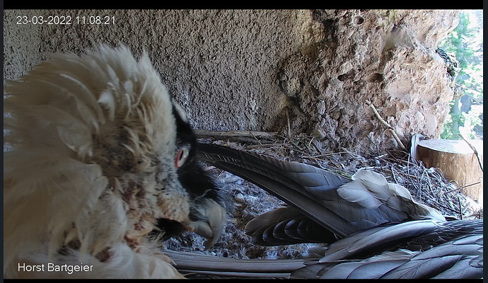 Screenshot 2025-10-28 161032