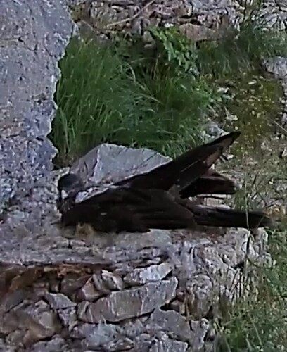 Screenshot_20230723-151213~2