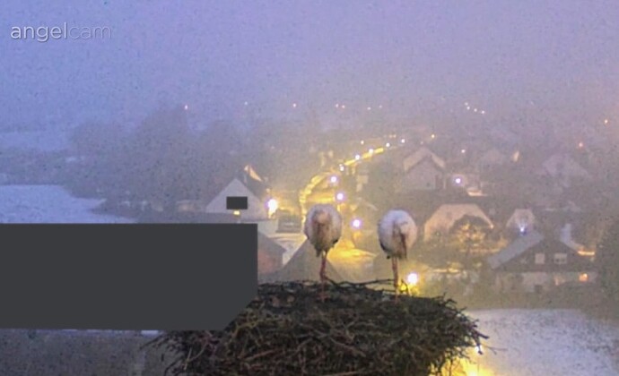 Screenshot_2026-02-06-06-59-53-318_com.android.chrome~2