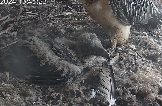 Nach dem Abendessen 21.04.24