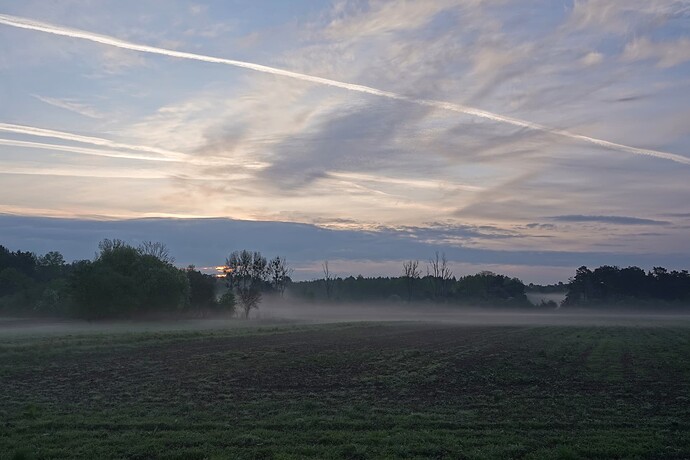 DSC02672_1