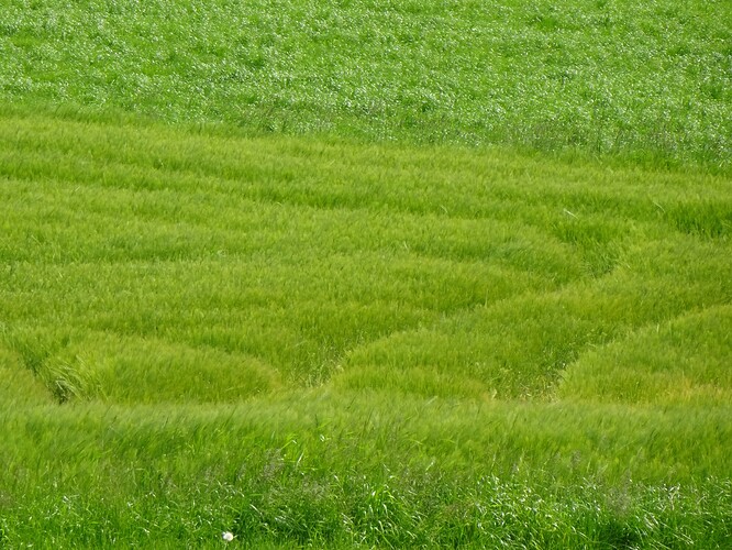 DSC03288