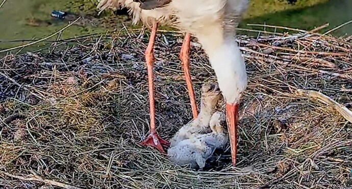 Screenshot_2025-06-12-06-10-56-989_com.google.android.youtube