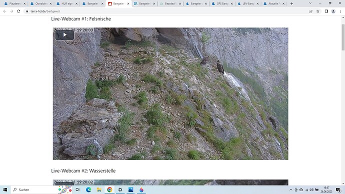 Screenshot (22)