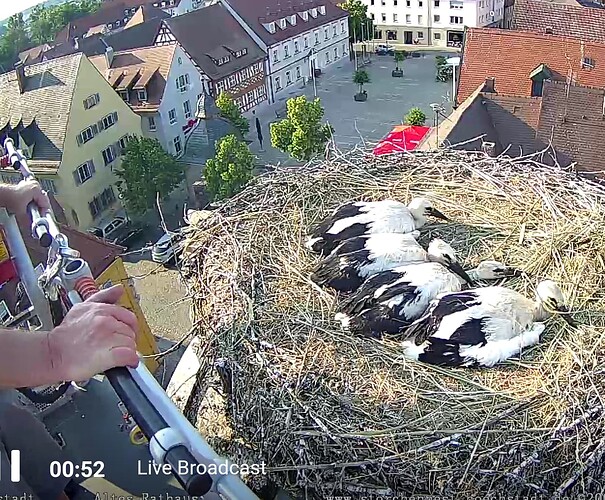 Screenshot_20230607-185854~2