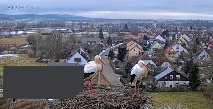 Screenshot_2026-02-08-08-36-00-996_com.android.chrome~3