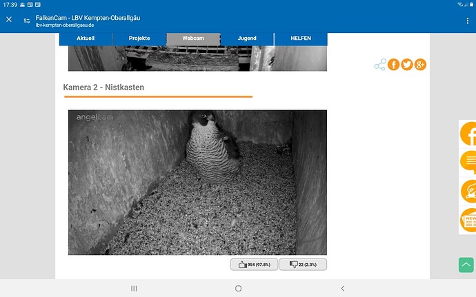 Screenshot_20240127-173931_Chrome