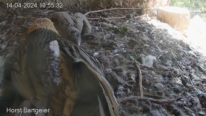 SnapShot-20240414_135630