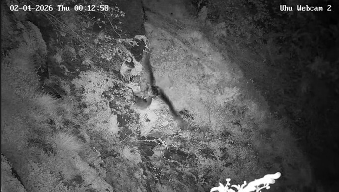 Screen_Recording_20260403_105255_Opera_1