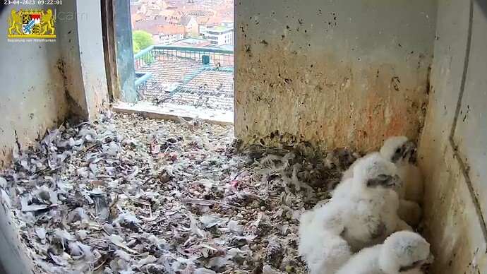 Screenshot_20230423-092225_Samsung Internet