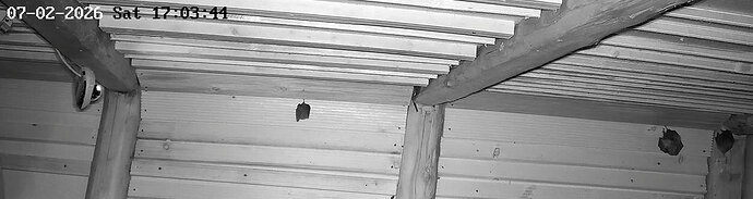 2026-02-7_6 ab 17.00  WG