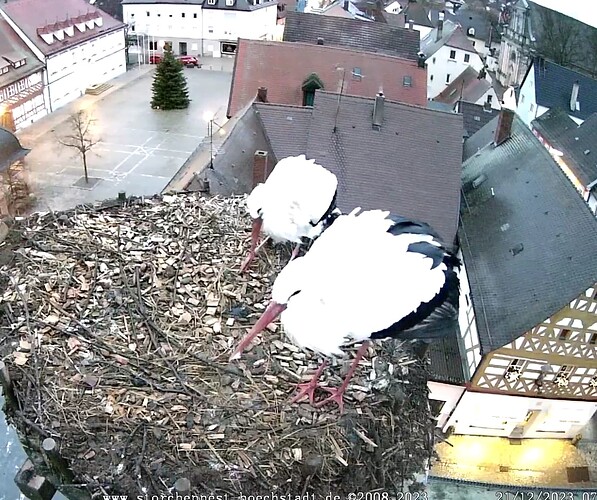 Screenshot_20231221-075841~2