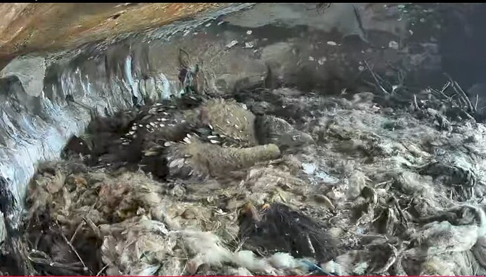 Screenshot_20251015-105056~2