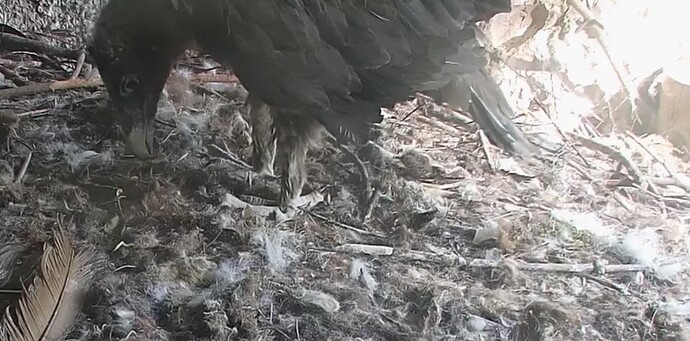 Stehen und Räumen 04.05.24