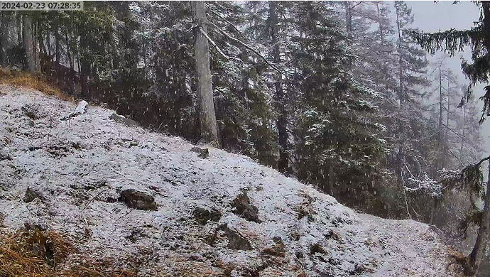 Snap_2024.02.23_07h29m12s_007_