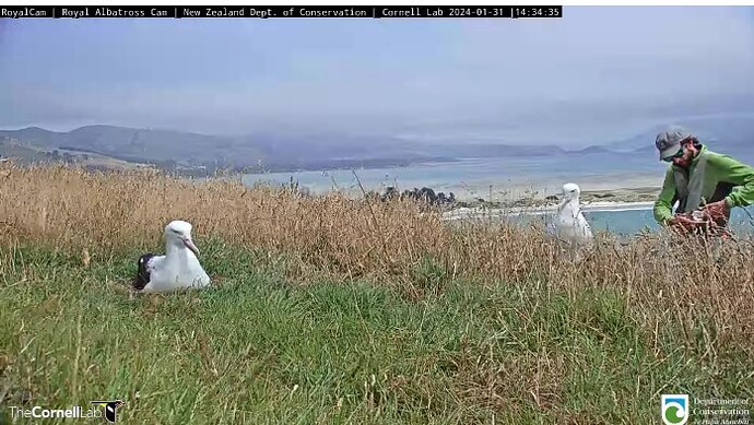 1ba7e345d56e4c60452af3452c0245dcdf5a9e76b774d8cdbbb37367f4b902b8