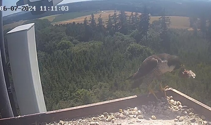 Screenshot_20240706_120933_Chrome