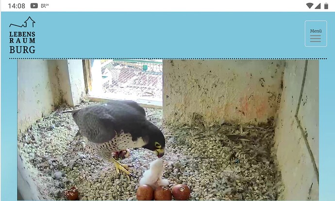 Screenshot_20230405-140841~2