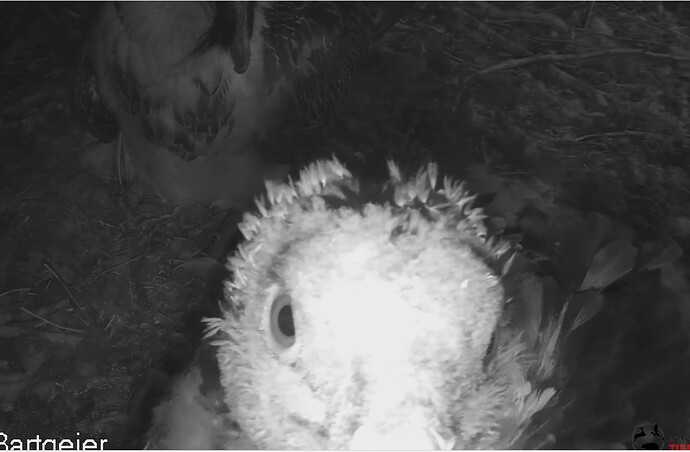 Blick in die Kamera 23.04.24